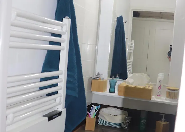 Daire T2 Climatise Wifi Piscines Parking