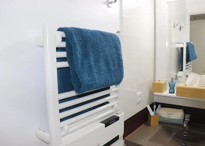 T2 Climatise Wifi Piscines Parking